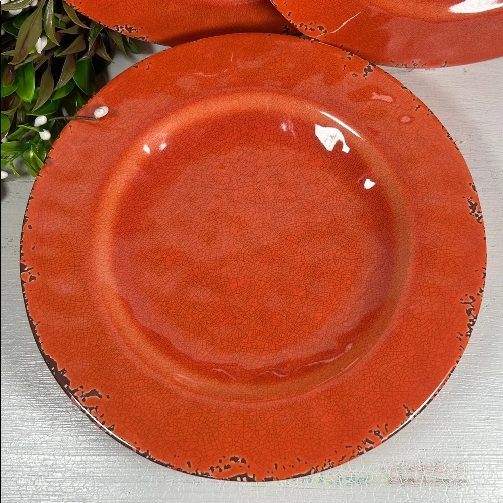 Gianna’s Home Plates Melamine Rustic Orange Plate Set Farmhouse Orange Plates